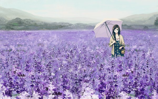 Anime picture 1920x1200 with original saya (mychristian2) single long hair looking at viewer highres black hair smile wide image standing holding sky outdoors black eyes mountain girl flower (flowers) petals umbrella basket