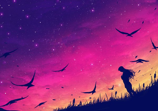 Anime picture 1024x724 with original erisiar single long hair sky profile evening sunset landscape silhouette girl plant (plants) animal bird (birds) star (stars) grass