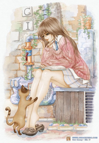 Anime picture 1000x1435 with original noh seong-min single long hair tall image brown hair sitting grey eyes legs girl plant (plants) miniskirt animal necktie shoes book (books) cat sweater wall pencil