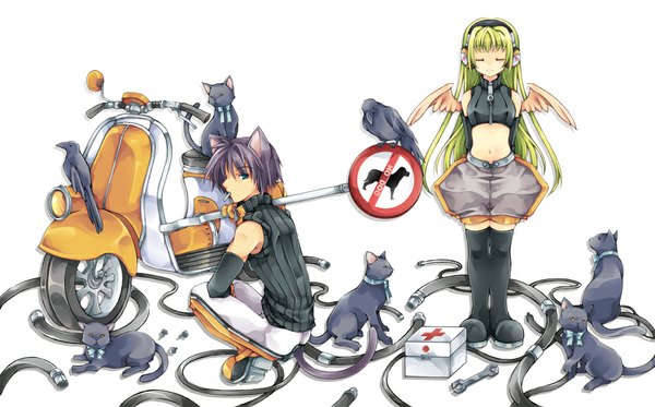 Anime picture 1043x650 with original sana.c long hair smile wide image animal ears green hair midriff angel wings smoking navel animal wings headphones bird (birds) cat cigarette motorcycle cable