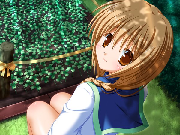 Anime picture 1200x900 with clover point hinata miori single brown hair brown eyes game cg girl serafuku clover (plant)