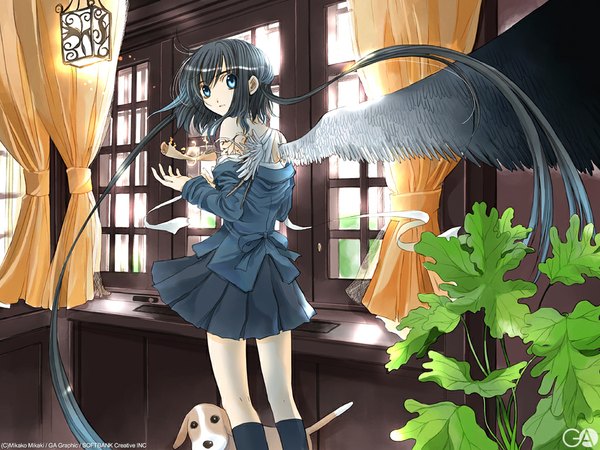 Anime picture 1024x768 with gagraphic mikaki mikako looking at viewer fringe short hair blue eyes black hair hair between eyes indoors looking back two side up magic single wing girl plant (plants) wings window curtains dog