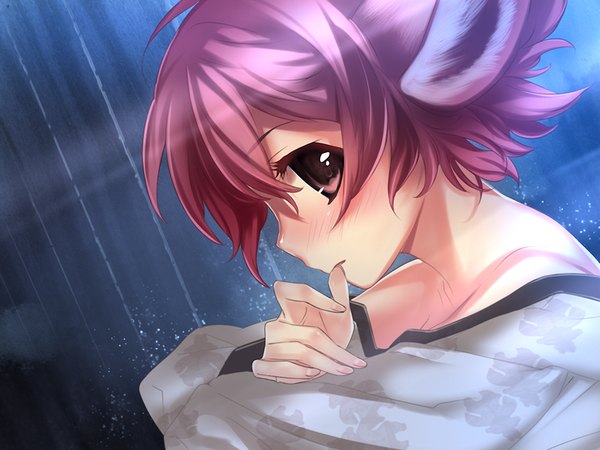 Anime picture 1024x768 with links! - kimi to seirei to tsukaima to short hair brown eyes game cg red hair profile girl