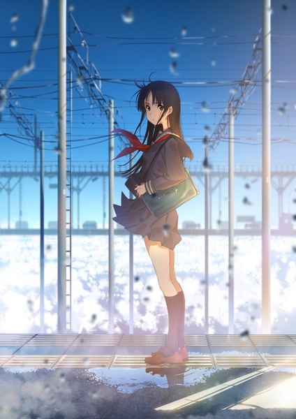 Anime picture 800x1131 with original domo1220 single long hair tall image looking at viewer fringe black hair standing holding brown eyes sky cloud (clouds) full body ahoge outdoors long sleeves pleated skirt wind blurry