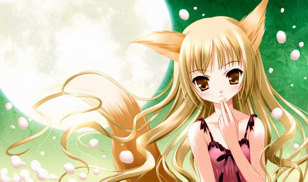 Anime picture 4540x2700 with long hair highres blonde hair wide image brown eyes animal ears absurdres tail fox girl girl moon