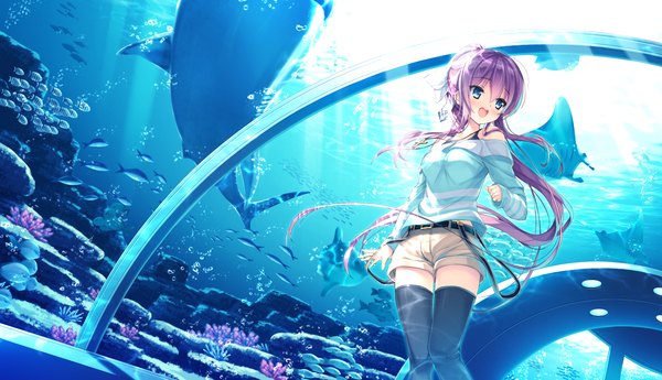 Anime picture 1320x760 with primal x hearts komagata yuzuki single long hair blush open mouth blue eyes wide image game cg purple hair ponytail girl thighhighs bow black thighhighs hair bow animal shorts fish (fishes)
