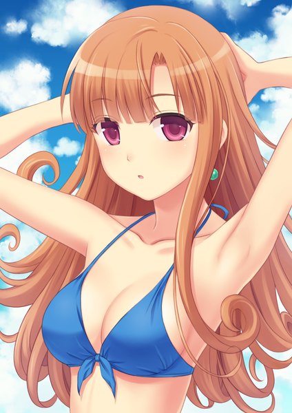 Anime picture 1202x1700 with dragon quest dragon quest iv alena (dragon quest) n.g. single long hair tall image looking at viewer blush fringe breasts brown hair purple eyes bare shoulders sky cloud (clouds) armpit (armpits) girl swimsuit earrings
