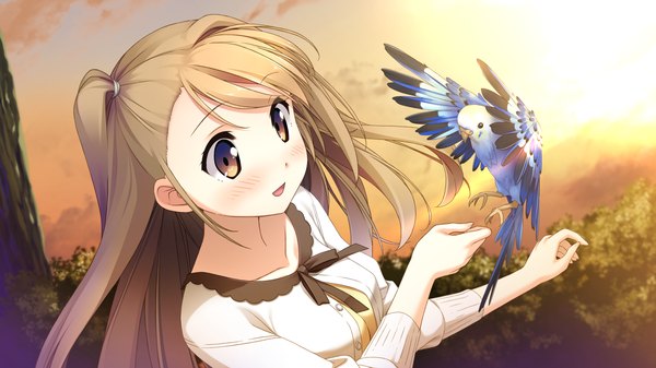 Anime picture 1920x1080 with your diary kantoku single long hair blush highres open mouth brown hair wide image brown eyes game cg girl dress animal bird (birds) parrot