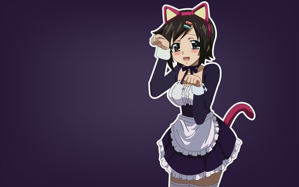 Anime picture 1680x1050 with sora no otoshimono wide image tail teeth maid cat girl fang (fangs) vector girl thighhighs tomoko
