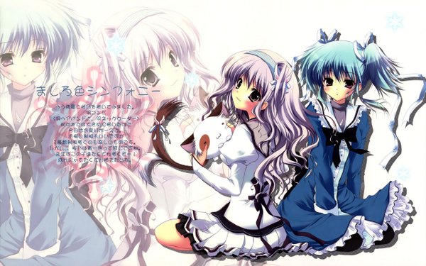 Anime picture 1280x800 with mashiroiro symphony amaha miu uryuu sakuno wide image twintails purple eyes multiple girls brown eyes blue hair purple hair short twintails zoom layer girl dress bow 2 girls cat