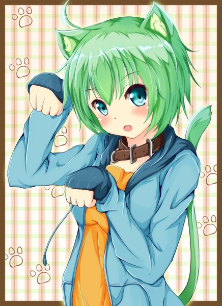 Anime picture 900x1236 with original ok-ray single tall image blush short hair open mouth animal ears tail animal tail aqua eyes green hair cat ears open clothes open jacket cat girl cat tail border girl jacket
