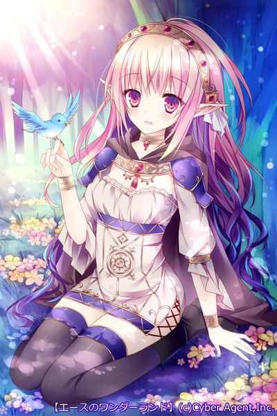 Anime picture 700x1050 with original sorai shin'ya single long hair tall image looking at viewer blush smile sitting pink hair parted lips pink eyes pointy ears sunlight arm support puffy sleeves wariza bird on hand girl thighhighs