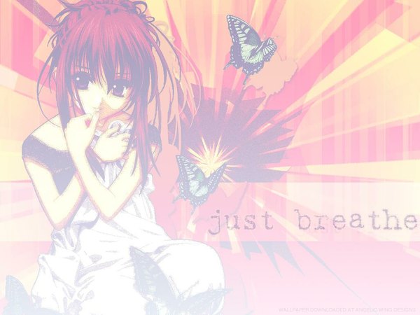 Anime picture 1024x768 with sister princess zexcs chikage (sister princess) tenhiro naoto girl insect butterfly