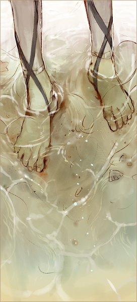 Anime picture 395x869 with shingeki no kyojin production i.g memipong single tall image barefoot legs partially submerged close-up head out of frame water sea toes seashell