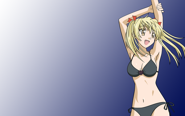 Anime picture 1920x1200 with school rumble sawachika eri highres wide image