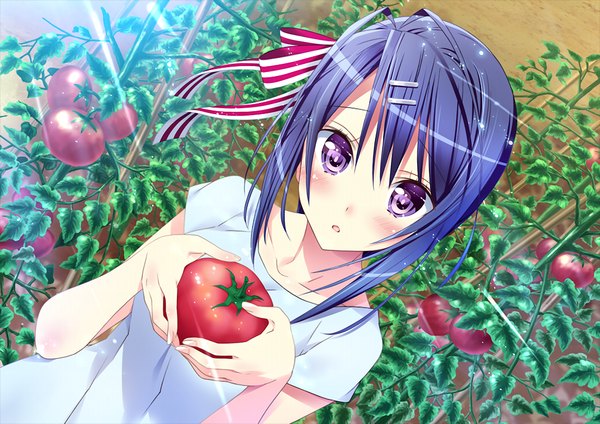 Anime picture 1024x725 with friends (game) single blush short hair purple eyes blue hair game cg girl hair ornament hairclip tomato