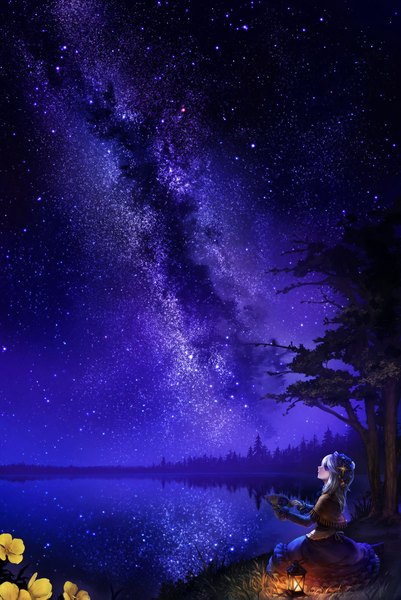 Anime picture 1600x2391 with original hebino (snake nest) single long hair tall image blue eyes silver hair night looking up milky way girl dress hair ornament flower (flowers) plant (plants) tree (trees) lamp