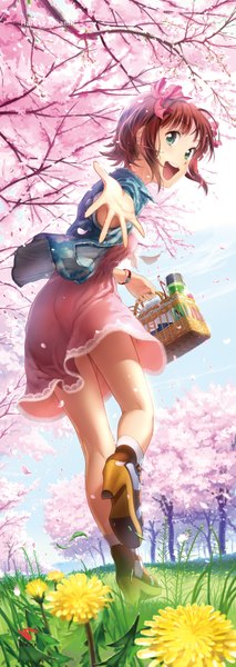 Anime picture 600x1683 with idolmaster amami haruka andou shuuki single tall image fringe short hair open mouth holding green eyes red hair looking back from behind legs cherry blossoms outstretched arm happy running girl flower (flowers)