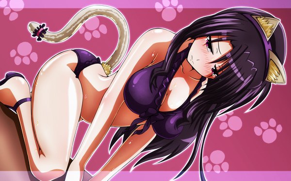 Anime picture 2560x1600 with mahou shoujo lyrical nanoha precia testarossa tappa (esperanza) single long hair looking at viewer blush highres breasts light erotic large breasts purple eyes bare shoulders animal ears cleavage purple hair tail animal tail cat ears bare belly