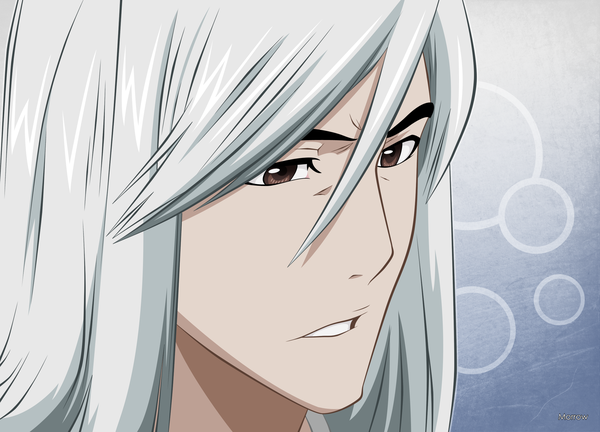 Anime picture 2400x1728 with bleach studio pierrot ukitake juushirou morrow single long hair highres simple background brown eyes silver hair portrait face vector boy