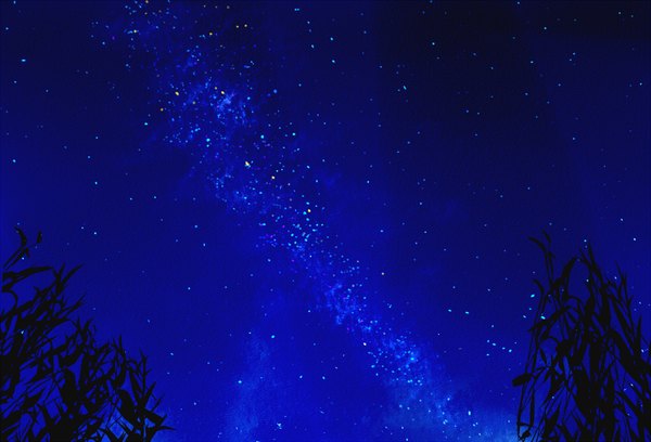 Anime picture 2250x1530 with original kibunya 39 highres sky night night sky no people landscape plant (plants) star (stars)