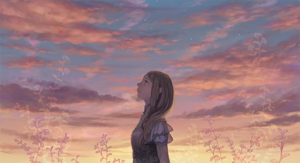 Anime picture 1000x546 with original hiko (scape) single long hair blonde hair wide image standing sky cloud (clouds) profile evening sunset looking up girl plant (plants) star (stars)