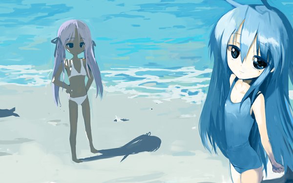 Anime picture 1100x688 with lucky star kyoto animation izumi konata hiiragi kagami wide image beach flat chest girl swimsuit bikini one-piece swimsuit school swimsuit kusaka