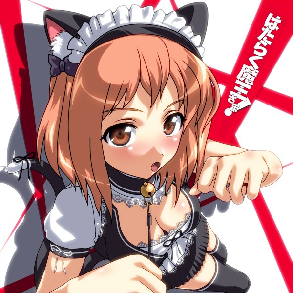 Anime picture 1200x1200 with hataraku maou-sama! white fox sasaki chiho doriri single short hair breasts open mouth brown hair brown eyes animal ears cat ears cat girl cat tail girl thighhighs dress black thighhighs bell