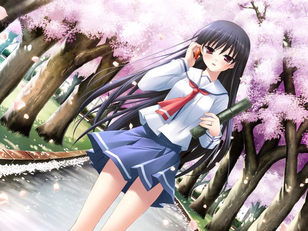 Anime picture 1600x1200 with single black hair purple eyes game cg wallpaper cherry blossoms graduation girl serafuku