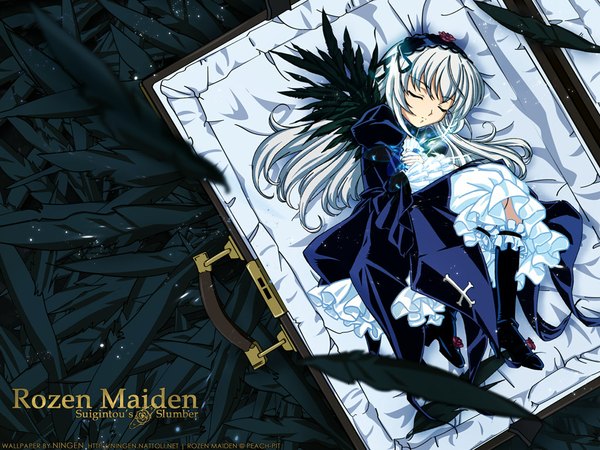 Anime picture 1024x768 with rozen maiden suigintou wallpaper sleeping girl