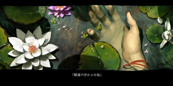 Anime picture 1500x750 with green (pixiv) wide image nail polish inscription shadow hieroglyph flower (flowers) plant (plants) animal water bracelet bird (birds) leaf (leaves) hands water lily