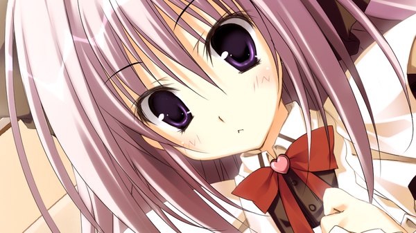 Anime picture 1024x576 with ikinari anata ni koishiteiru yourou tsumugu long hair wide image purple eyes game cg purple hair girl