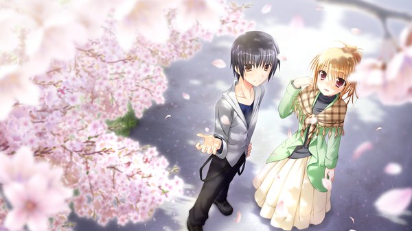 Anime picture 2560x1440 with yaneura no kanojo dp minase (artist) blush highres short hair black hair blonde hair red eyes wide image brown eyes game cg couple cherry blossoms girl dress boy petals