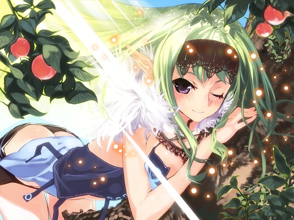 Anime picture 1024x768 with links! - kimi to seirei to tsukaima to long hair light erotic purple eyes game cg one eye closed green hair pointy ears wink elf girl