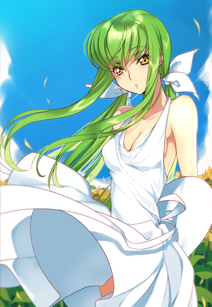 Anime picture 650x939 with code geass sunrise (studio) c.c. creayus single long hair tall image looking at viewer blush fringe breasts light erotic hair between eyes standing twintails bare shoulders yellow eyes sky outdoors parted lips