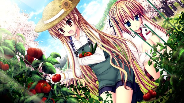 Anime picture 1280x720 with sakura sakimashita minato miu akizuki tsukasa long hair open mouth blue eyes blonde hair red eyes wide image twintails multiple girls game cg girl ribbon (ribbons) 2 girls hair ribbon hat tomato