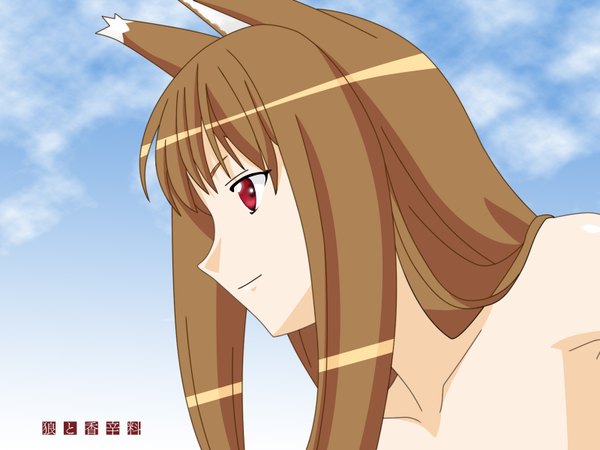 Anime picture 1600x1200 with spice and wolf horo single long hair red eyes brown hair animal ears looking away sky profile vector wolf ears wolf girl girl