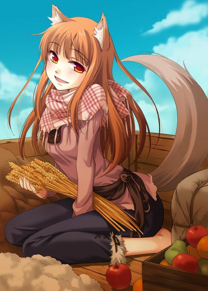Anime picture 730x1024 with spice and wolf horo ginta single long hair tall image blush open mouth smile red eyes brown hair sitting animal ears sky cloud (clouds) bent knee (knees) tail animal tail barefoot wariza
