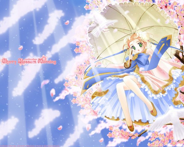 Anime picture 1280x1024 with cloud (clouds) girl animal bird (birds) umbrella cherry blossom morning