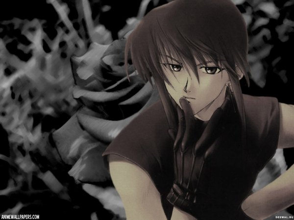 Anime picture 1600x1200 with weiss kreuz ran fujimiya (aya) brown hair brown eyes boy gloves earrings rose (roses)