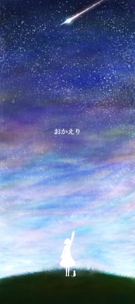 Anime picture 1244x2800 with original bounin tall image short hair night sky hieroglyph silhouette shooting star girl cat