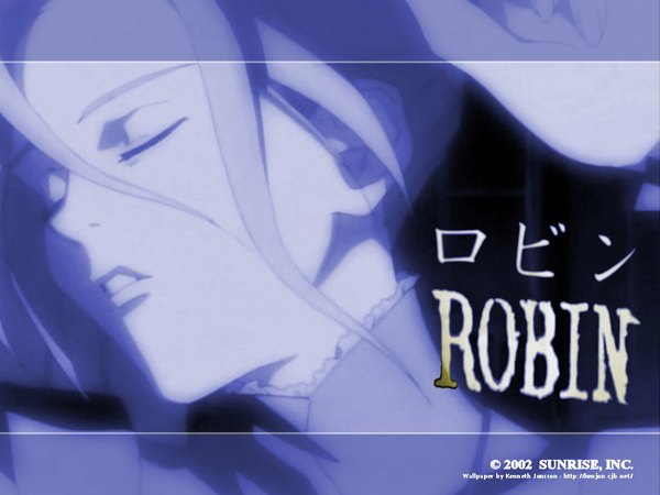 Anime picture 1024x768 with witch hunter robin robin sena tagme