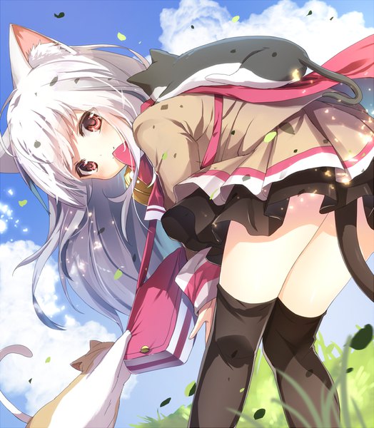 Anime picture 873x1000 with merc storia nono (merc storia) emia (castilla) single long hair tall image looking at viewer blush fringe light erotic smile standing brown eyes animal ears cloud (clouds) outdoors white hair tail long sleeves animal tail