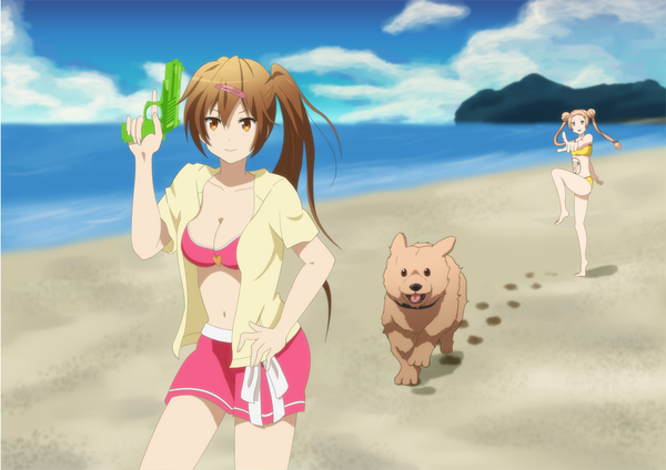 Anime picture 1447x1023 with chuunibyou demo koi ga shitai! kyoto animation nibutani shinka dekomori sanae long hair blue eyes light erotic blonde hair brown hair twintails multiple girls brown eyes ponytail beach side ponytail girl navel 2 girls swimsuit bikini