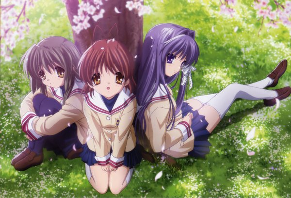 Anime picture 2319x1577 with clannad key (studio) furukawa nagisa fujibayashi kyou ibuki fuuko long hair fringe highres short hair smile purple eyes multiple girls brown eyes purple hair light smile cherry blossoms morning girl thighhighs uniform