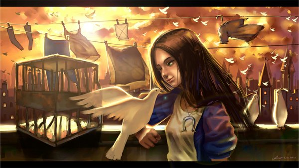 Anime picture 1103x623 with american mcgee's alice (game) alice: madness returns alice (american mcgee's) inoi single long hair brown hair wide image green eyes one eye closed wink evening sunset girl dress animal bird (birds) apron cage roof