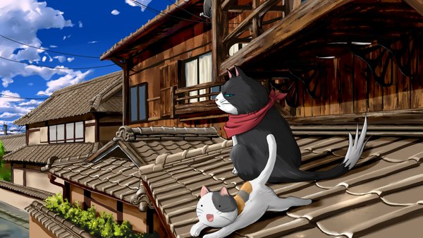 Anime picture 1920x1080 with nyan koi nyamsas tama (nyan koi) highres wide image sky cloud (clouds) official art no people building (buildings) cat roof