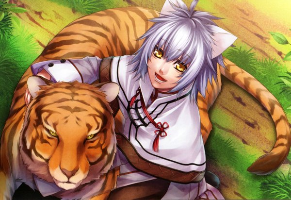 Anime picture 5158x3545 with jyuzaengi - engetsu sangokuden idea factory ryuubi (jyuzaengi engetsu sangokuden) highres short hair open mouth animal ears yellow eyes absurdres silver hair traditional clothes cat ears animal tiger