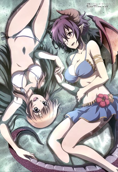 Anime picture 4090x5937 with shingeki no bahamut manaria friends megami magazine grea (shingeki no bahamut) anne (shingeki no bahamut) long hair tall image blush highres short hair breasts open mouth light erotic brown hair multiple girls absurdres purple hair tail one eye closed horn (horns)