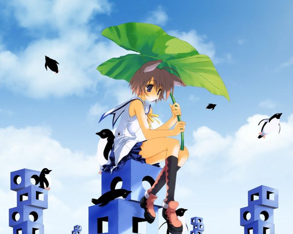 Anime picture 1280x1024 with original mitsumi misato single short hair blue eyes sitting animal ears grey hair cat ears cat girl girl animal bird (birds) penguin leaf umbrella